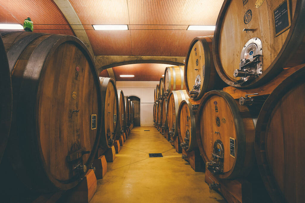 Amarone Wine Tour de Vérone